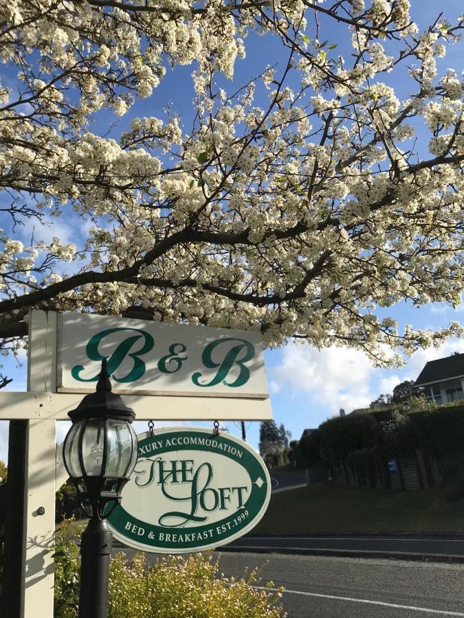 The Loft Bed And Breakfast Taupo Exterior foto