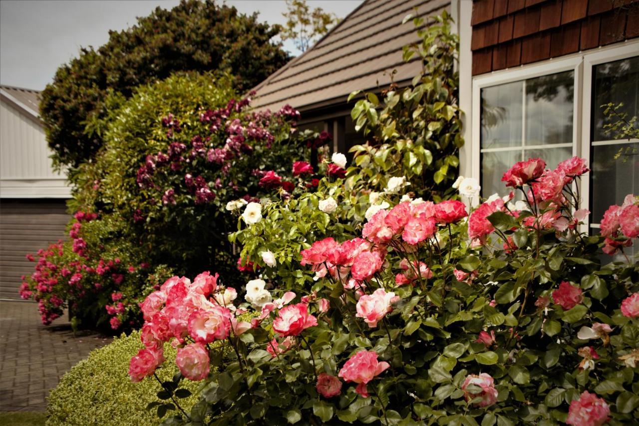 The Loft Bed And Breakfast Taupo Exterior foto