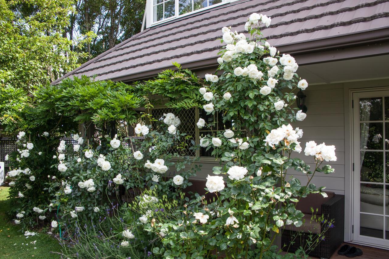 The Loft Bed And Breakfast Taupo Exterior foto